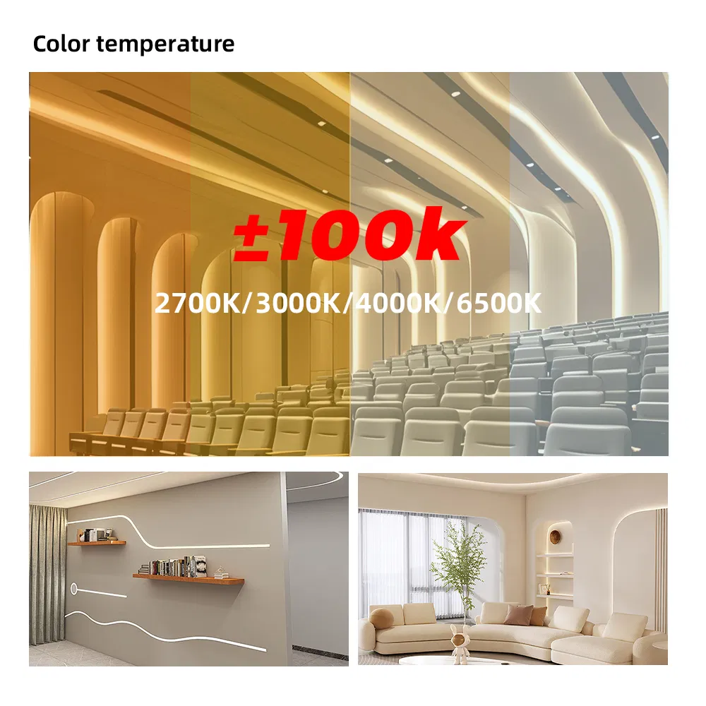 Dotless Neon LED 16.4FT (5M) Strip Light DC24V 40W IP67 10X10mm Outdoor Rated Dimmable Low Voltage Silicone Noen LED Strip Light