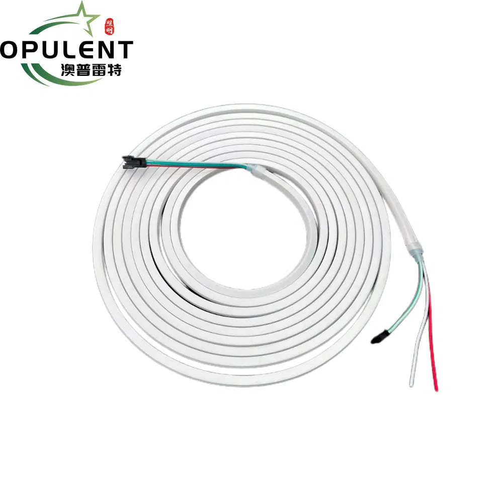 Opulent RGBW Pixel Neon Silicone Flexible Rope Light 24V RGBW Rope Strip Flex LED Neon Light for Outdoor Decor