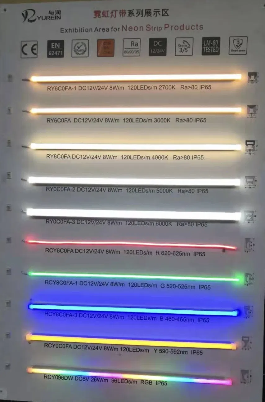Constant Voltage and Constant Current Design Options Neon LED Light Strips