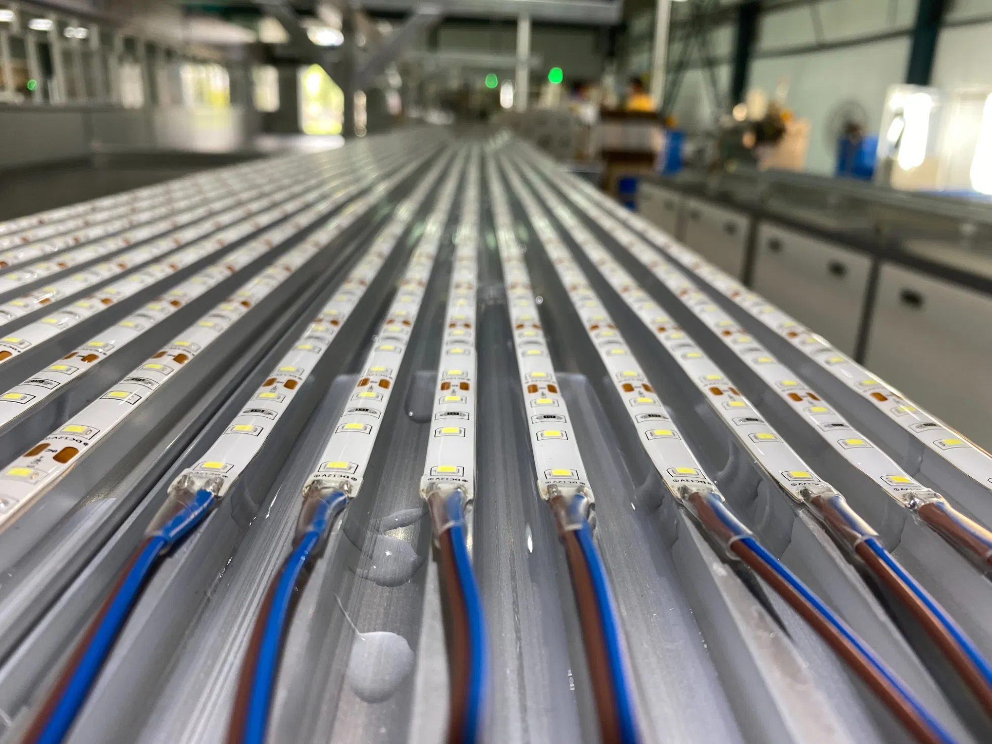 Low Voltage 4040 2835 120 50m House Decorations Red Yellow RGBW Multi Color LED Flexible Light Strip Lamp Roll LED Strip Lights for Ceiling