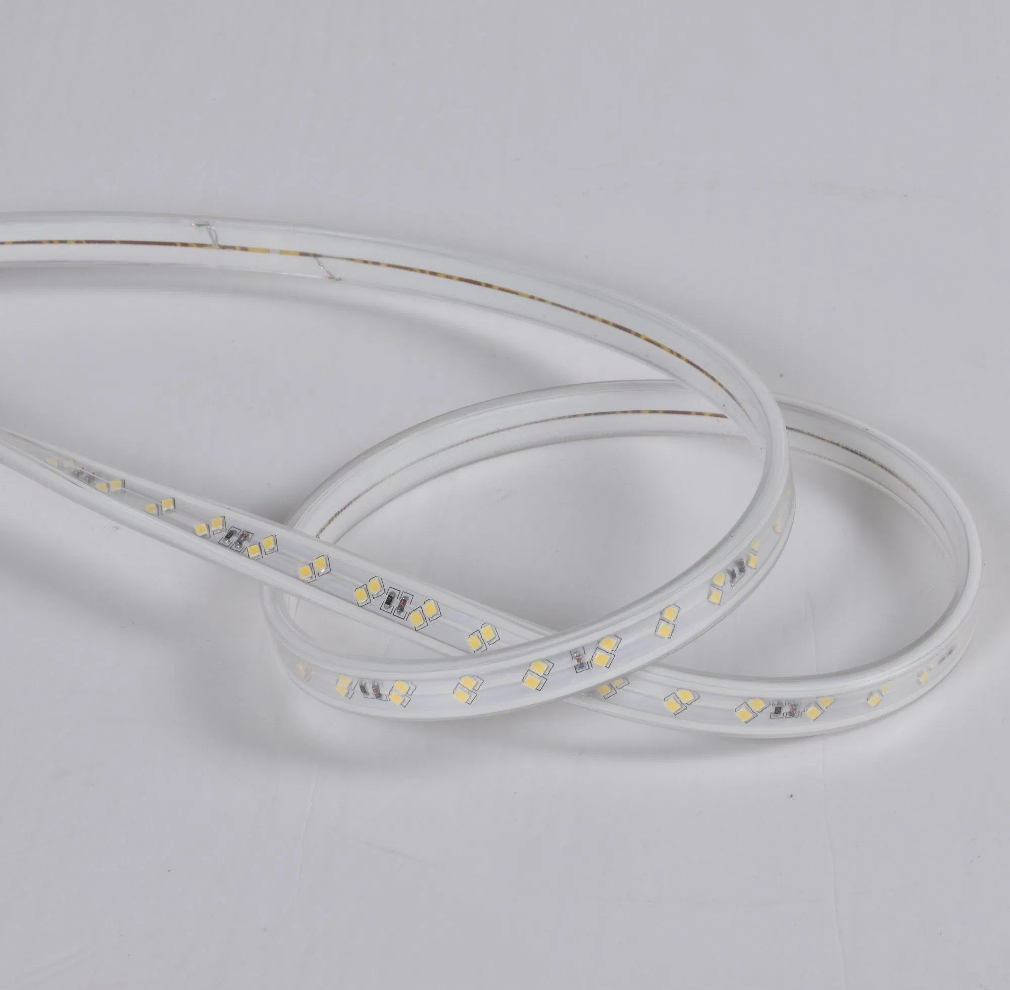 Waterproof IP65 Christmas LED Strip Light for Home Decoration