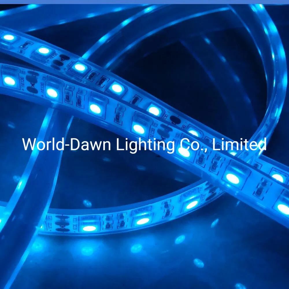 220V/127V Waterproof W/Ww/B/Y/R/G/P/Gy SMD2835 Color Changing Strip High Voltage LED Rope Light