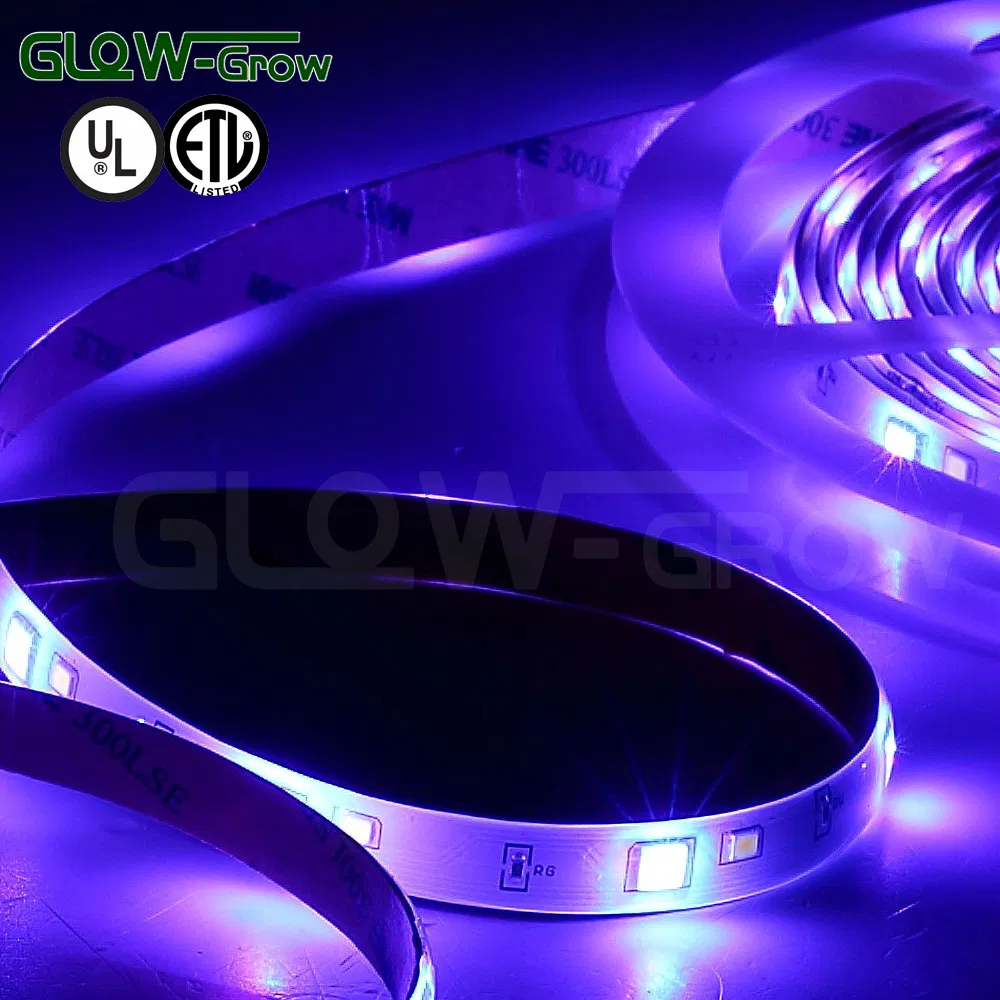 Indoor Use 24V IP44 5.0W RGBW LED Strip Light with UL Approval