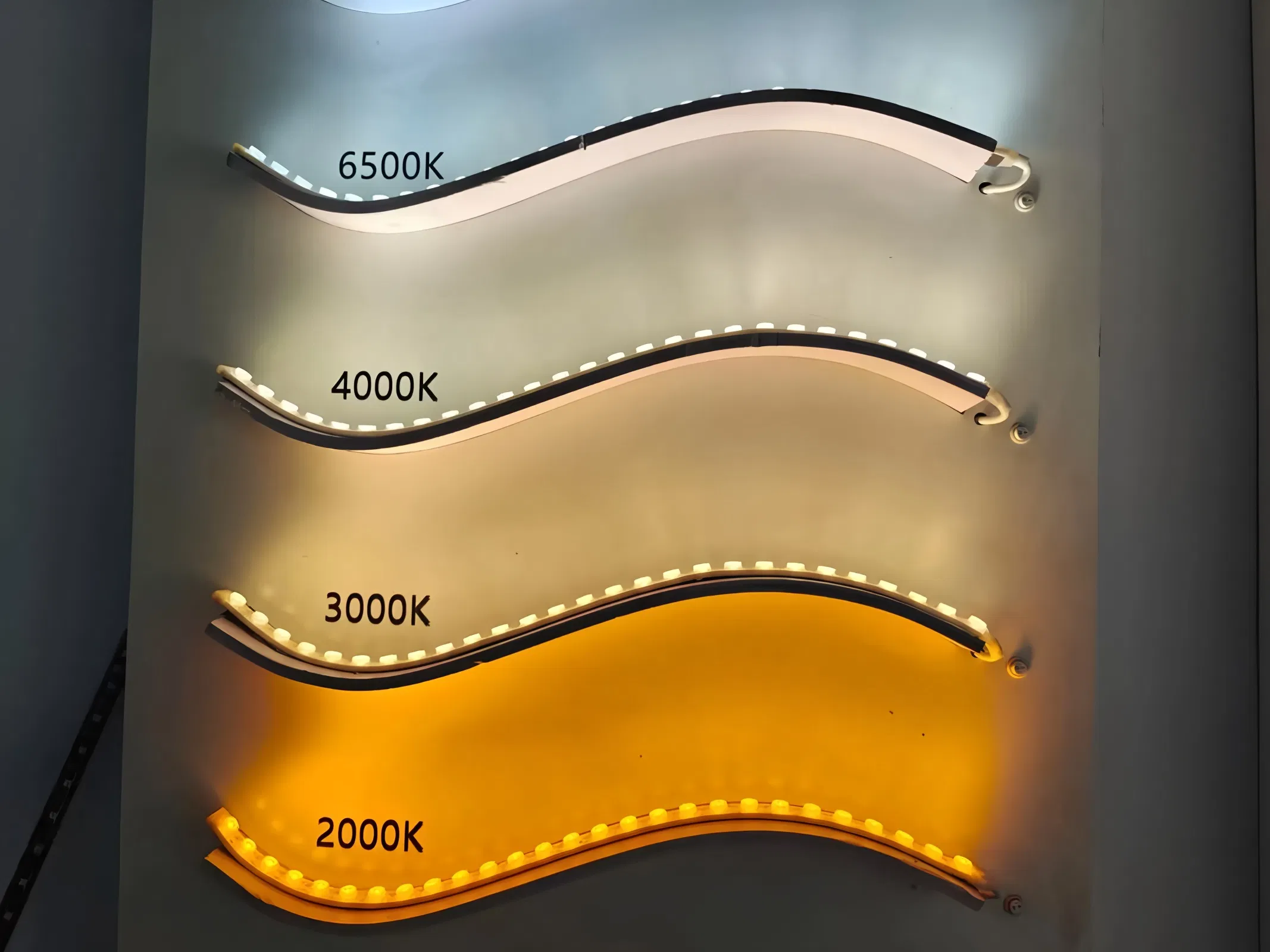 LED Neon Lights/Neon Strip/LED Neon Sign/LED-Light for Home Decoration/LED Outdoor Lighting