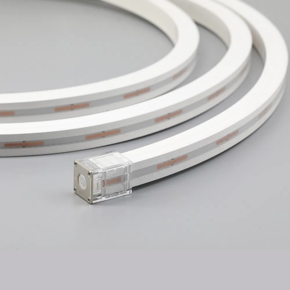 Outdoor IP67 Sign Logo Party Landscape Decorative Art Flexible Waterproof 12V 24V LED Neon Light Strip Words