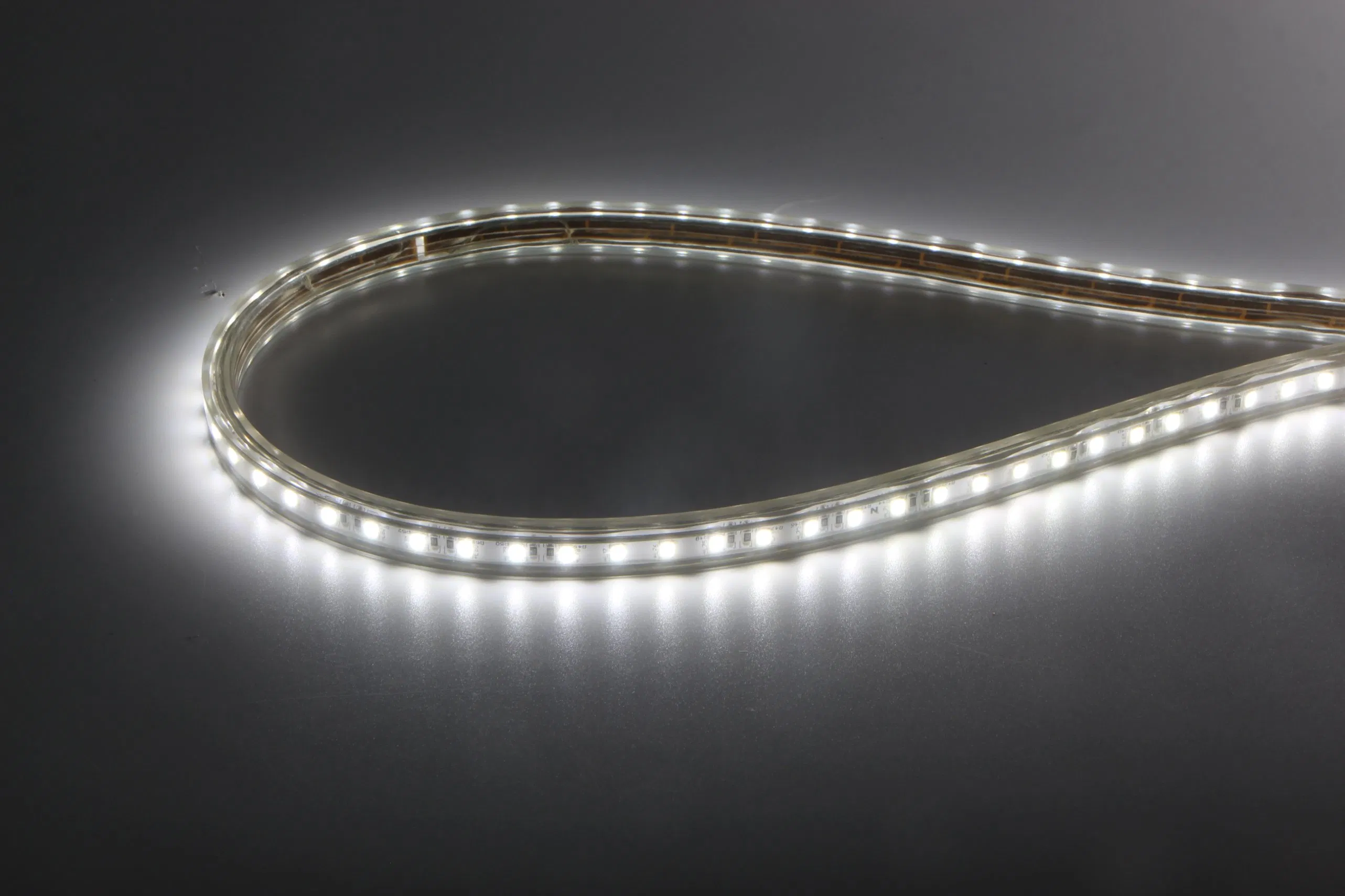 AC220V High Voltage SMD2835 LED Strip Light