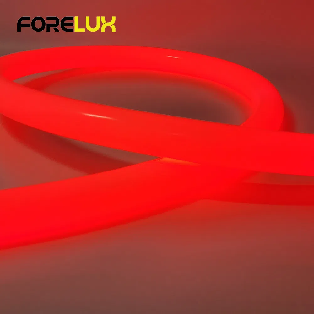 LED Neon Flex 1