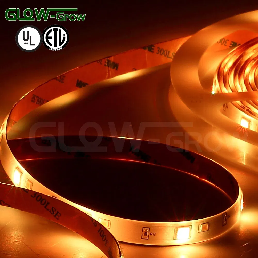 Indoor Use 24V IP44 5.0W RGBW LED Strip Light with UL Approval