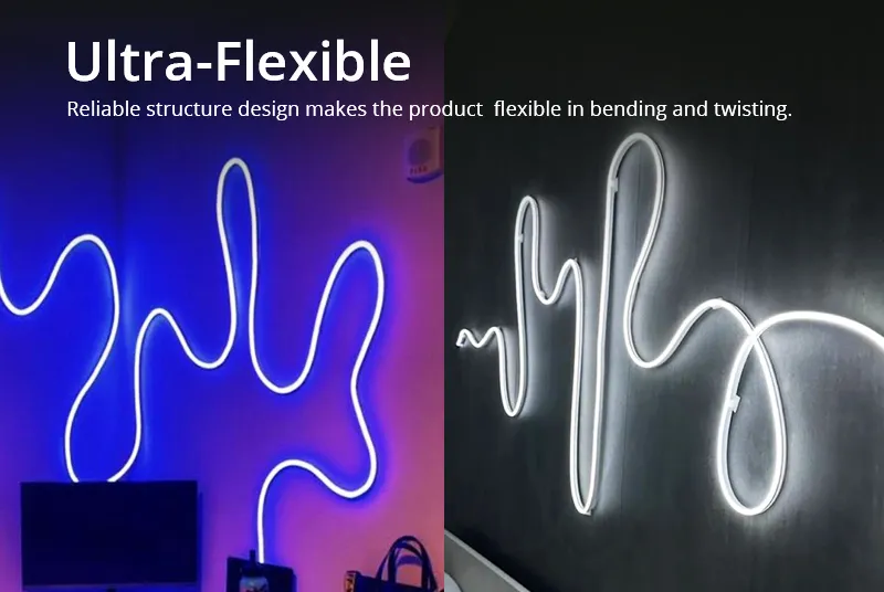 Neon Flex Application 1