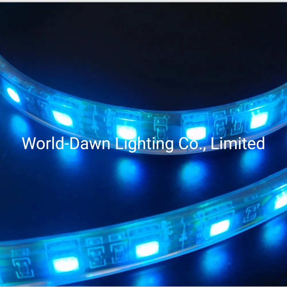 220V/127V Waterproof W/Ww/B/Y/R/G/P/Gy SMD2835 Color Changing Strip High Voltage LED Rope Light