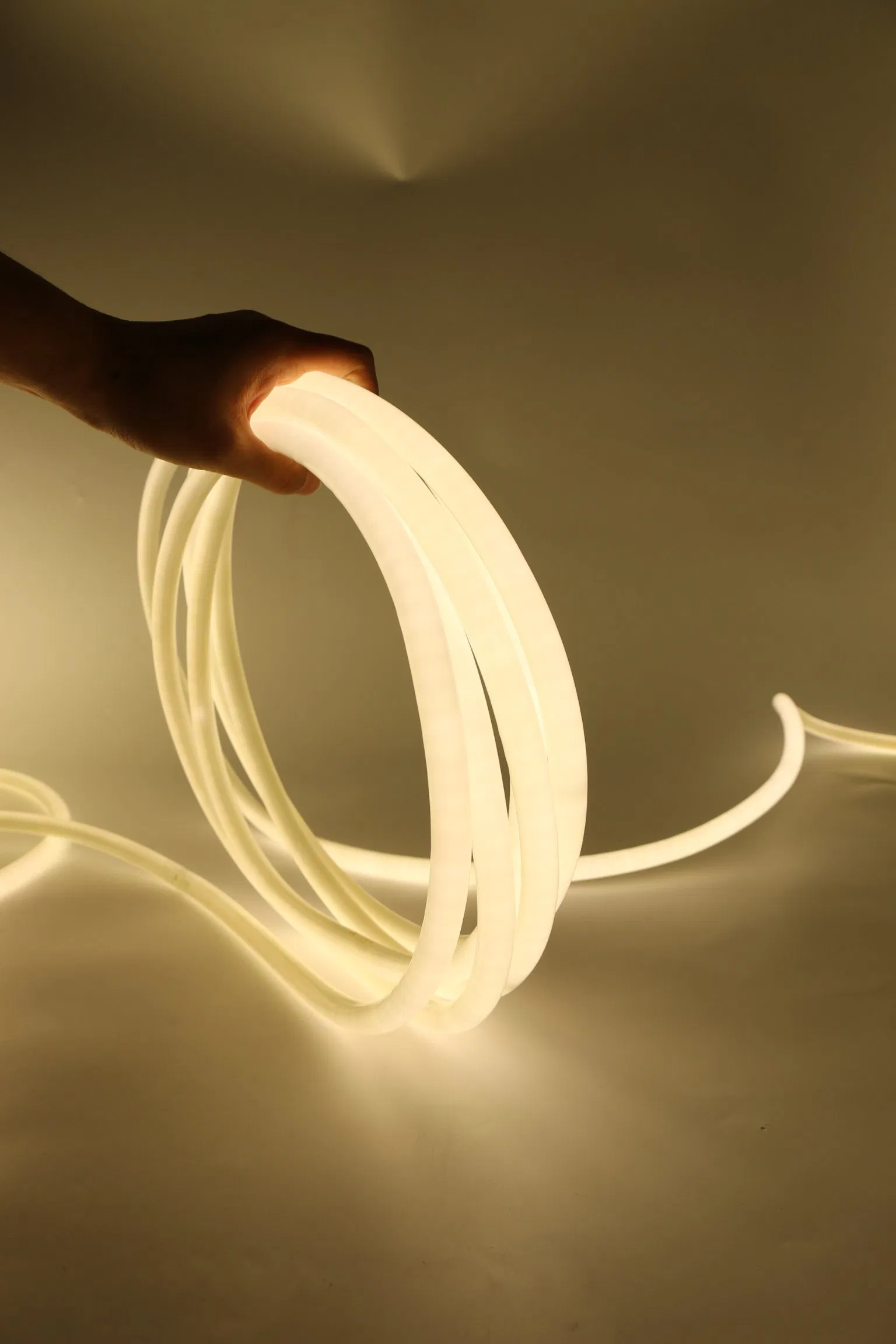 Easy Install 110V High Voltage Waterproof LED Strip Light for Outdoor Use