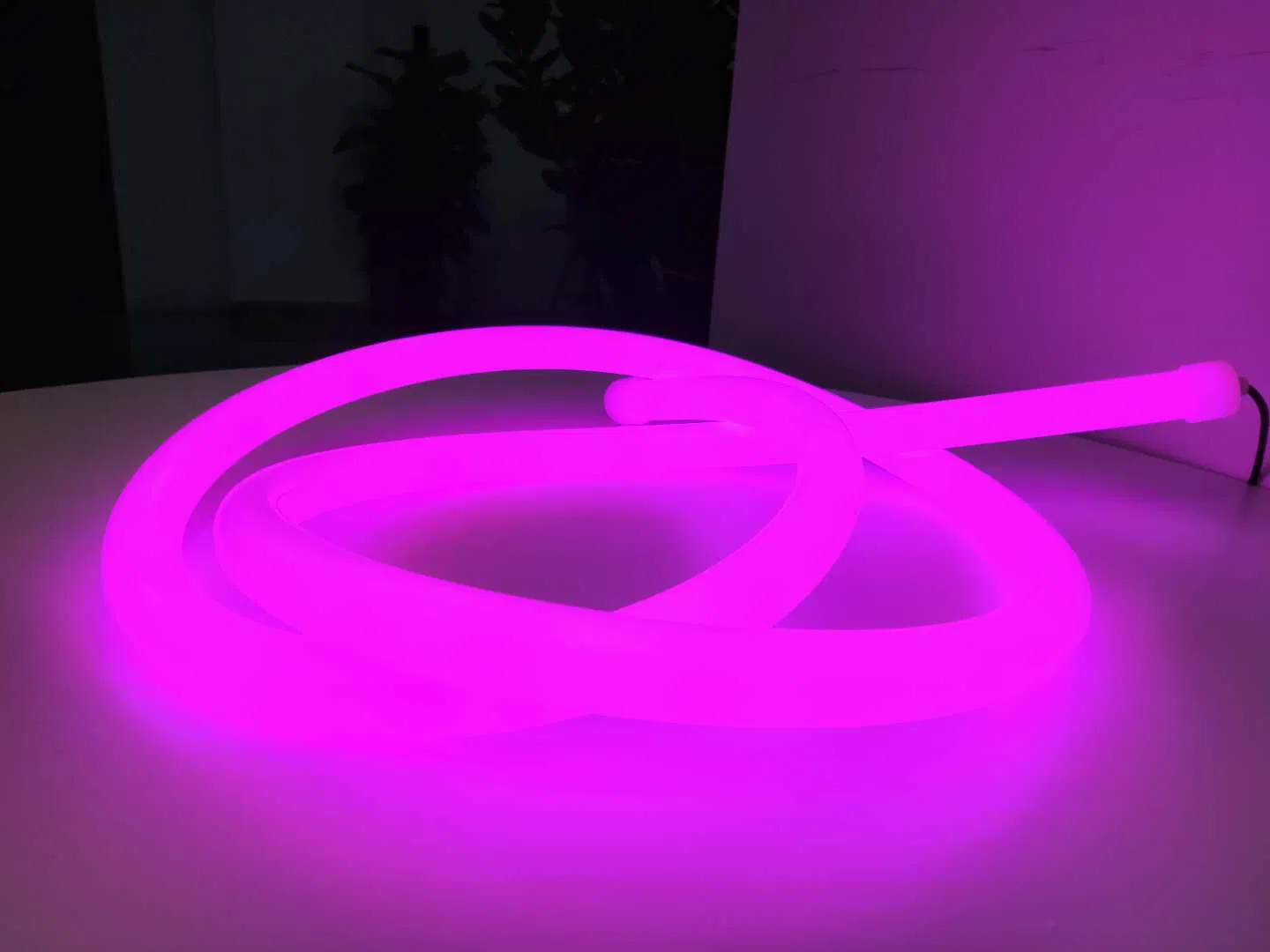 Wholesale Price Good Quality IP67 360 Degree Flexible Silicon 24V 12V LED Neon Flex Strip Lights