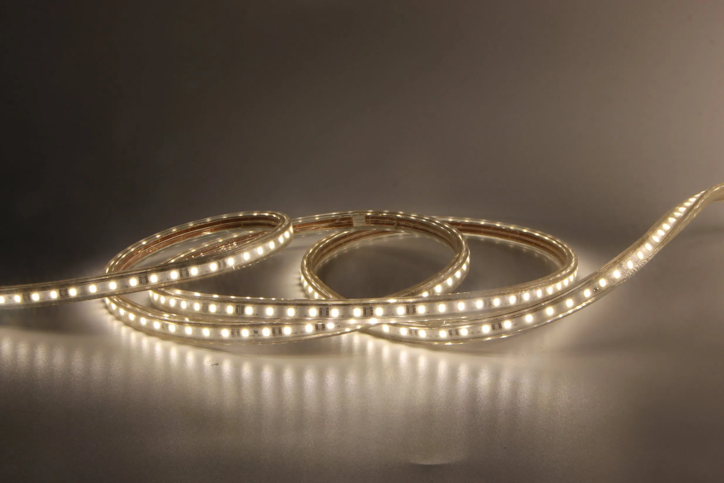 AC220V High Voltage SMD2835 LED Strip Light