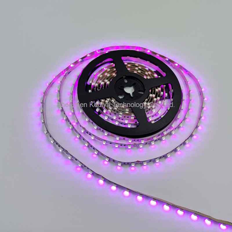 Changeable Color SMD3535 60LEDs RGB LED Flexible Strip Light with Controller RGB RGBW 12V 24V 5m 10m Per Roll