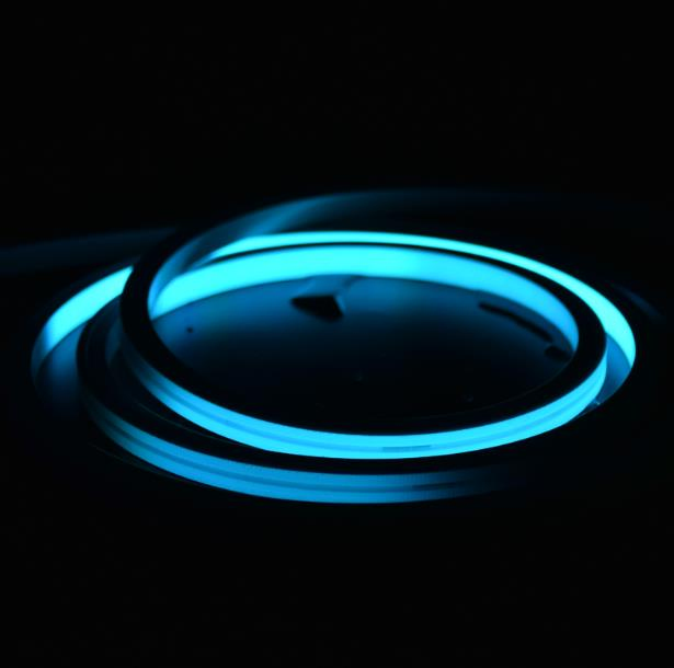 Digital DMX Spi IP67 1615 LED Neon Flex RGB RGBW Strip Light