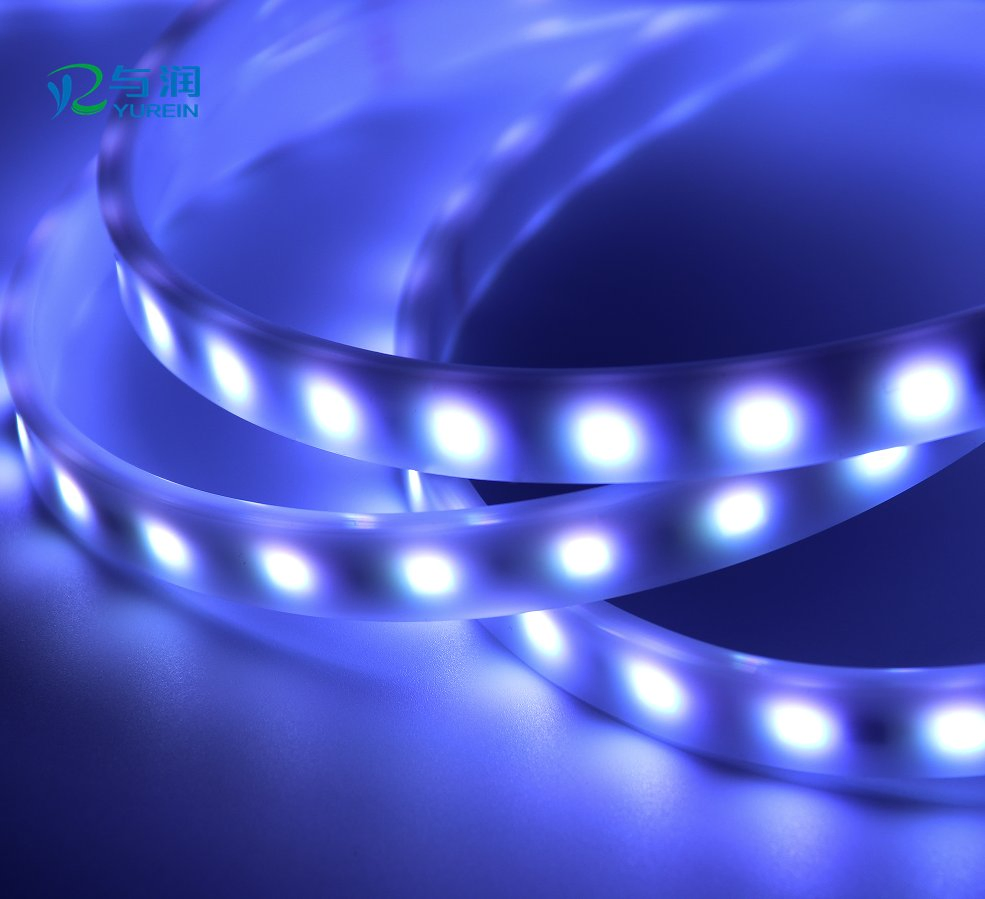 High Quality IP65 Silicone Tube LED Strip 5050 RGBW DOT Control LED Ribbon Light with UL, CE and RoHS