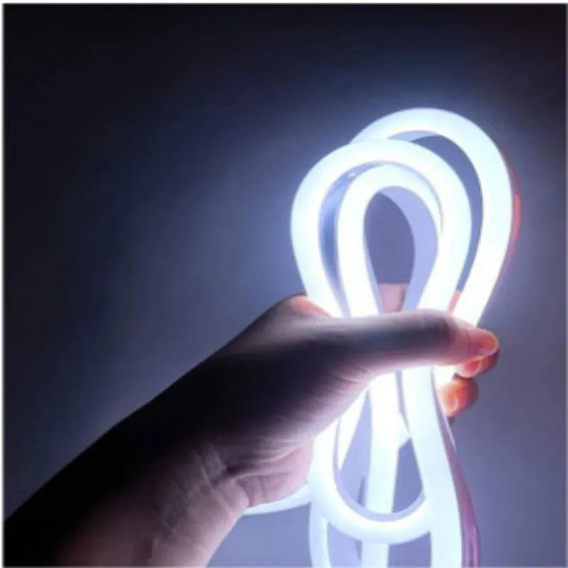 LED Neon Strip Picture 2