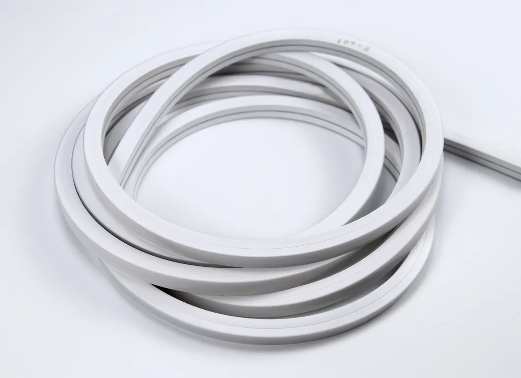 Neon Flex Application 2