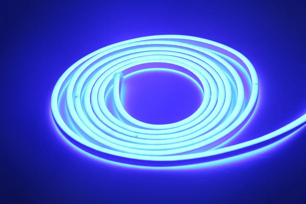 Flexible Neon Light View 2