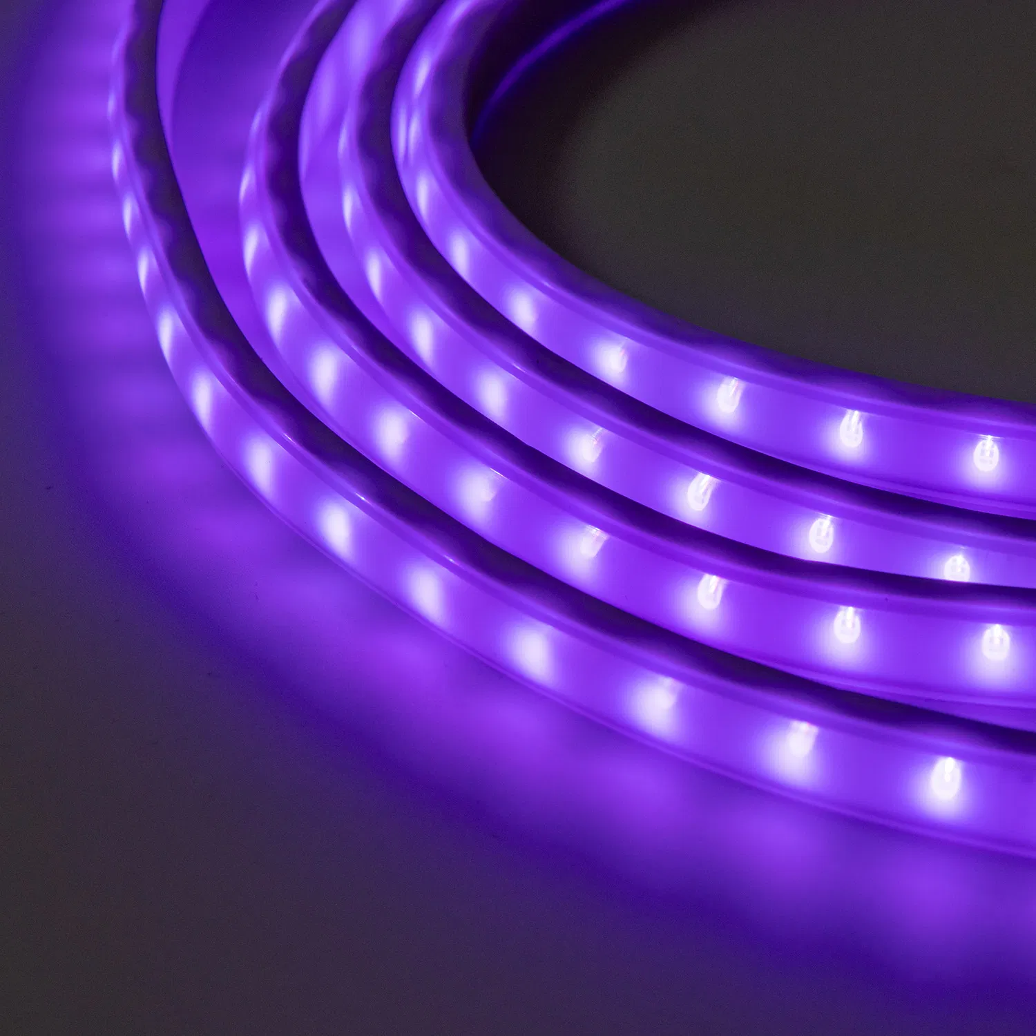 Wholesale Outdoor Decoration-Light Waterproof RGB Flexible LED Strip Light for Christmas Decoration Lighting