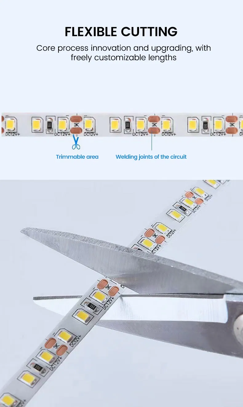 LED Strip Product Show 12