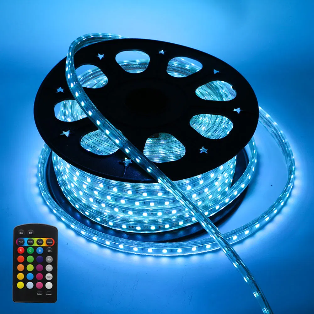 220V High Voltage LED Strip Light RGB SMD 5050 Tape Remote Control Waterproof LED Light Strip