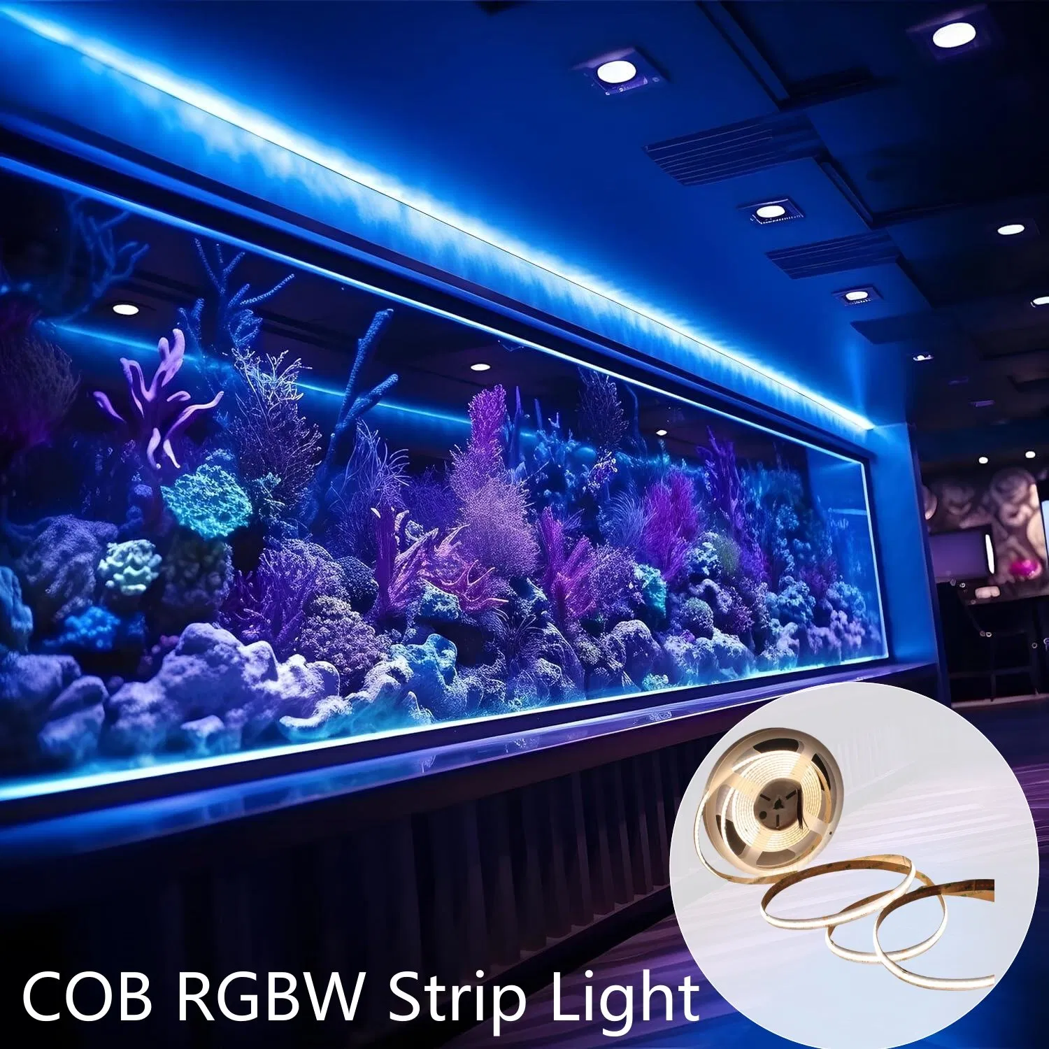 Flexible RGB RGBW Effect Lighting 5m LED Strip Light COB 12V for Nightclub
