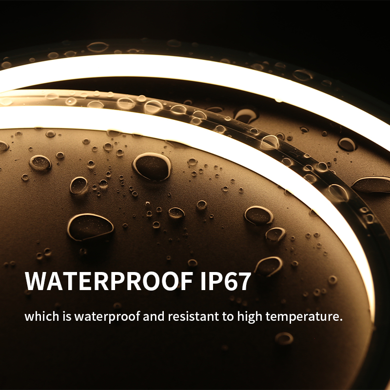 Professional Manufacturer CE UL Rosh Silicone Flexible LED Strip Light DC24V Waterproof IP67 RGB LED Neon Flex Strip