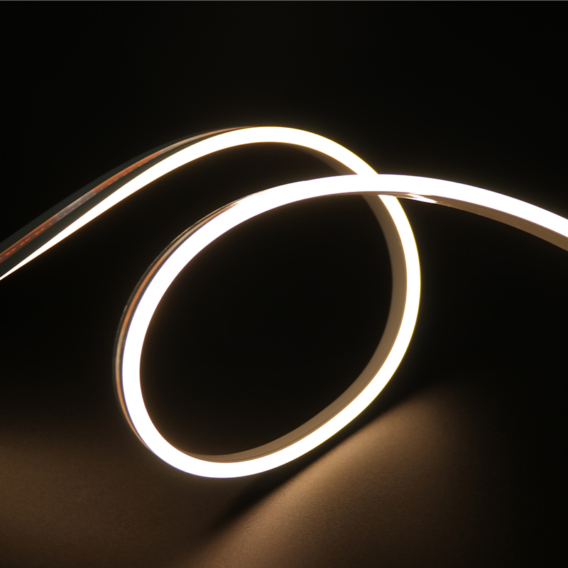 Professional Manufacturer CE UL Rosh Silicone Flexible LED Strip Light DC24V Waterproof IP67 RGB LED Neon Flex Strip