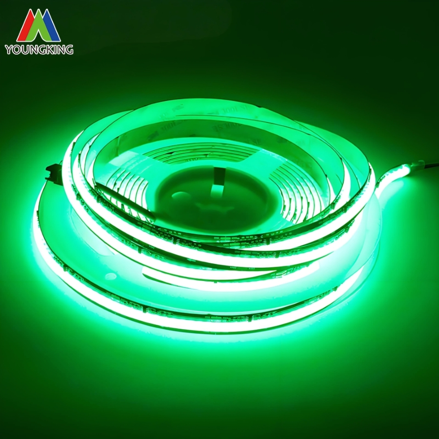 8mm 10mm 12mm Width Rgbic COB LED Strip Light Addressable LED RGB IC Ws2811 12V/24V LED Strip 720LEDs Tira De Luz LED COB LED Strip Light