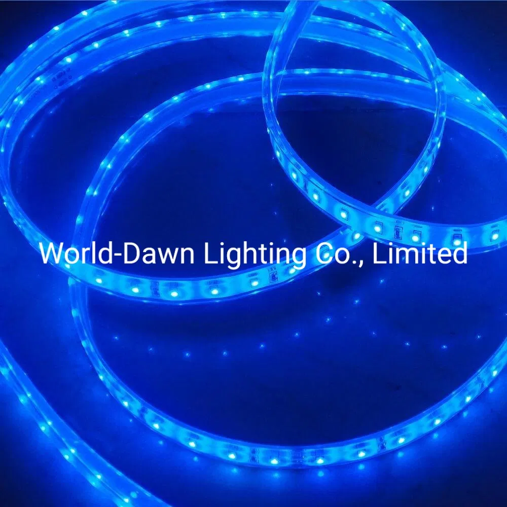 220V/127V Waterproof W/Ww/B/Y/R/G/P/Gy SMD2835 Color Changing Strip High Voltage LED Rope Light