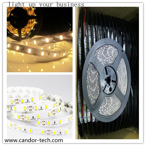 Low Voltage LED Light Strip
