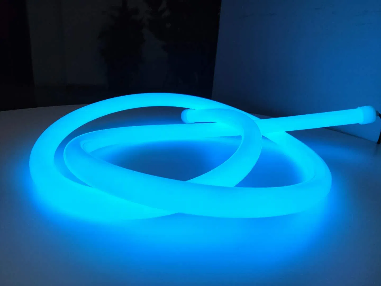 Wholesale Price Good Quality IP67 360 Degree Flexible Silicon 24V 12V LED Neon Flex Strip Lights