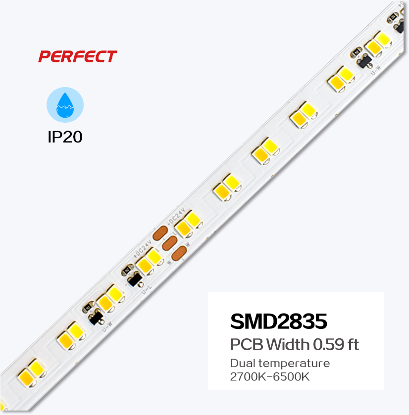 Hot-Sale Long Run Constant Current LED Strip 10mm 2835 CCT 2700K-6500K LED Strip Light 168LEDs Max 15m No Voltage Drop IP20 IP67 LED Strip