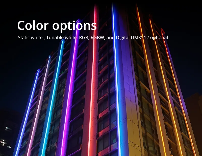 Neon Flex Application 4