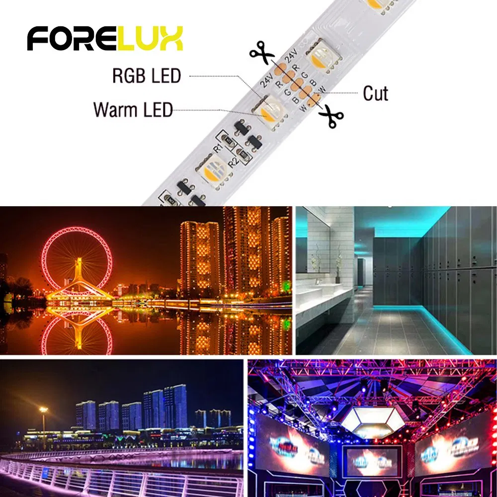 Long Run Length 15m Constant Current RGBW Full Color Flexible LED Strip Lights for Indoor Outdoor Use