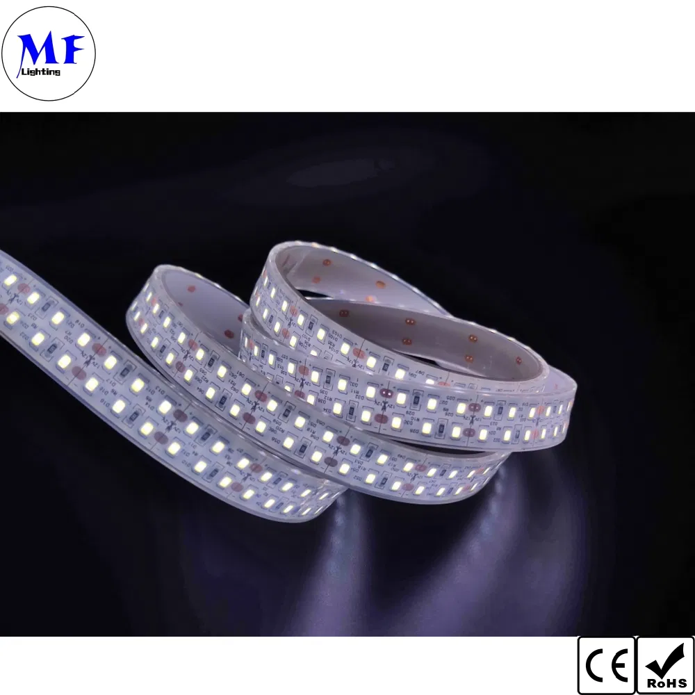 IP20 IP65 IP68 Waterproof DC12V 24V RGB RGBW LED 2835 Strip Light with CCT Dimming Control for Indoor Outdoor Lighting Building Facade Patio Deck Landscape