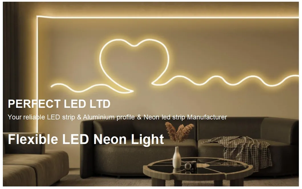 LED Neon Flex Light
