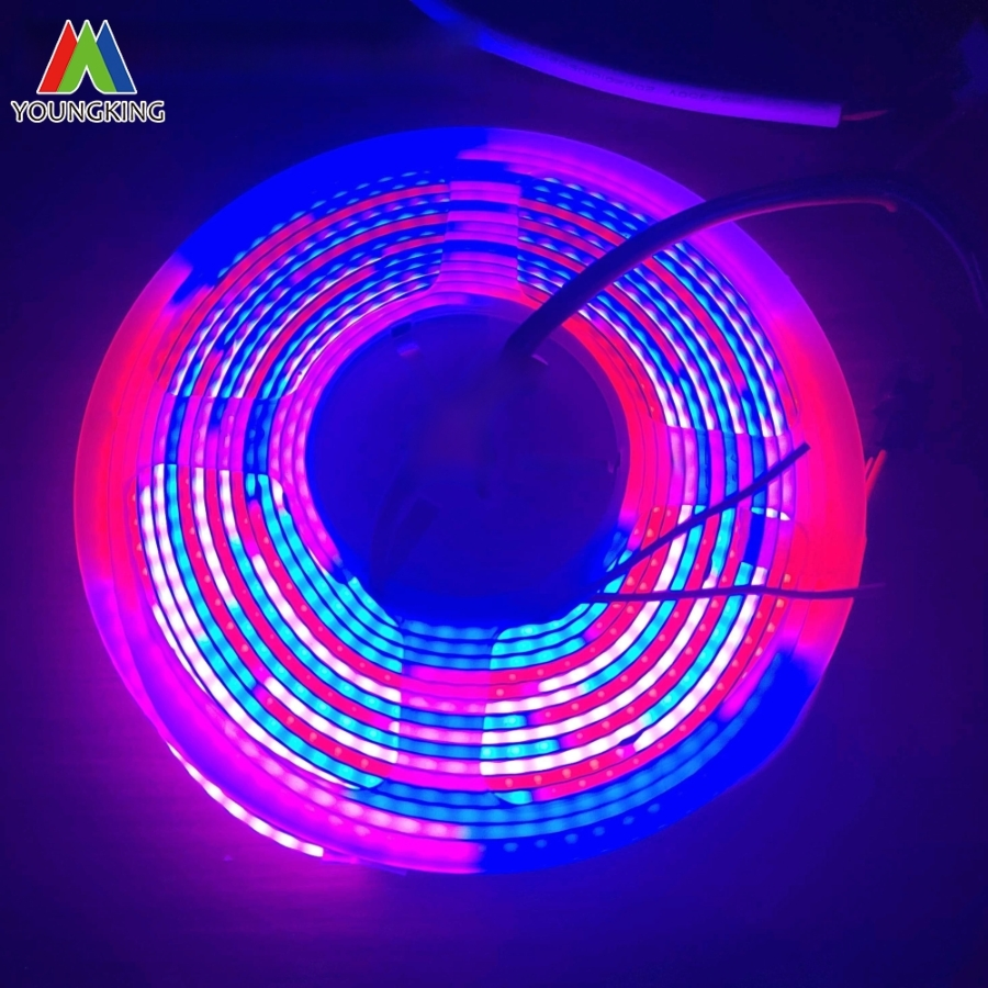 Rgbwic COB LED Strip Light Addressable LED RGBW IC Ws2814 24V LED Strip 784LEDs/M Luces LED Tira De Luz LED COB LED Strip Light
