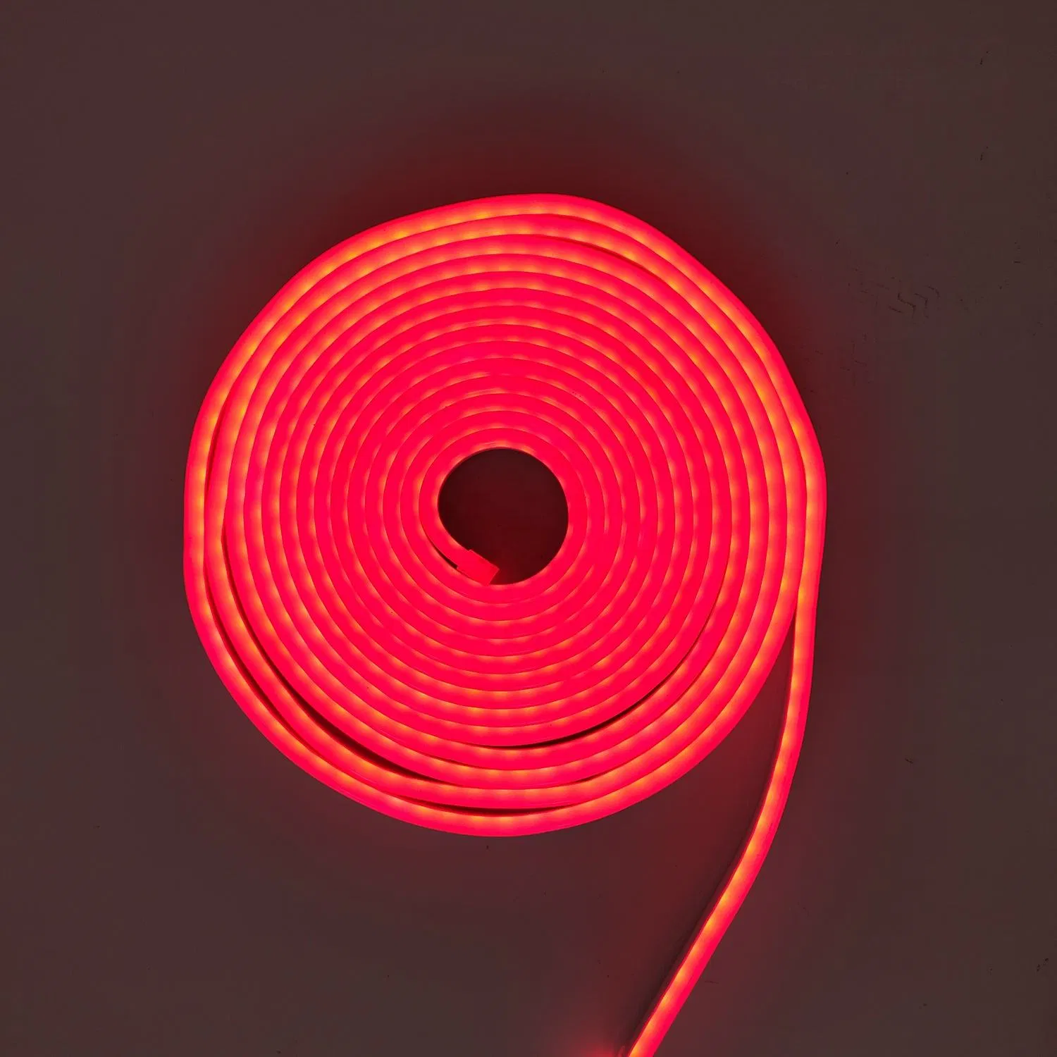 Ultra Thin LED Neon Flex 3mm 4mm 6mm 8mm 10mm Width DC12V 24V DIY 0410 Neon Light Silicon LED Neon Flexible