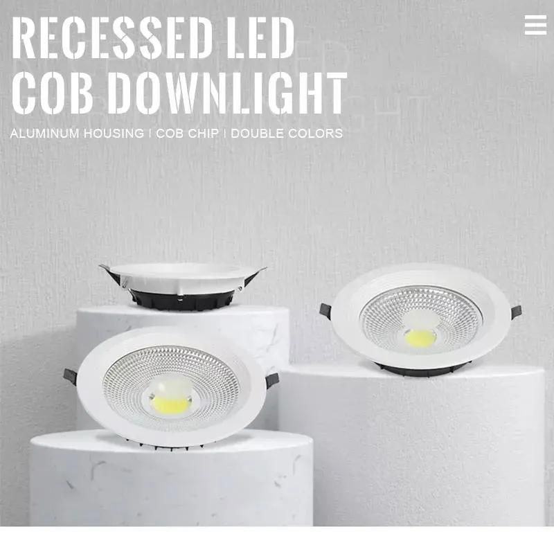 LED Downlight View 1