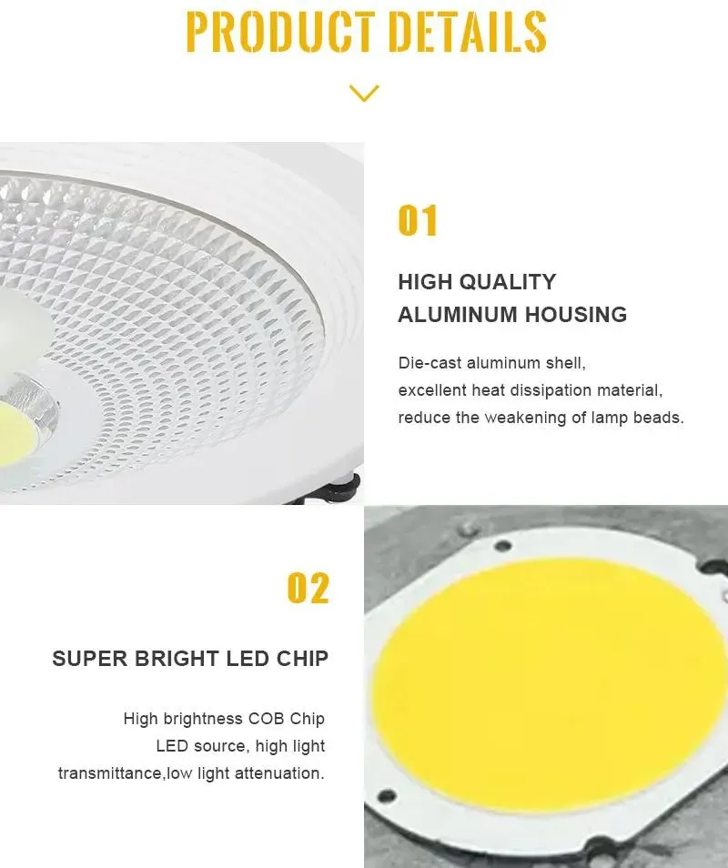LED Downlight View 3