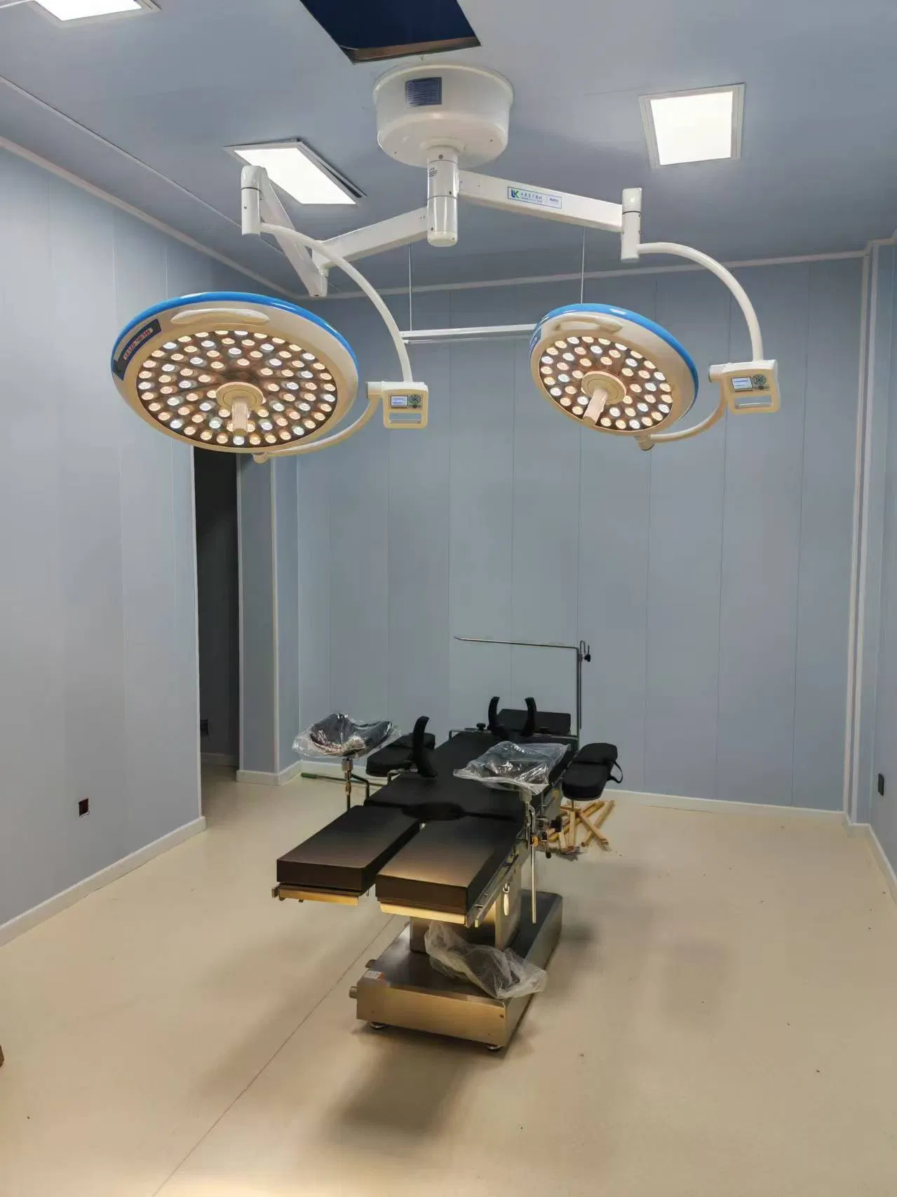 700/500 Medical Shadowless Operating Lamp Double Dome Ceiling Mounted Surgery Room Lamp Surgical Light