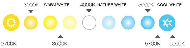 LED Linear Light Feature