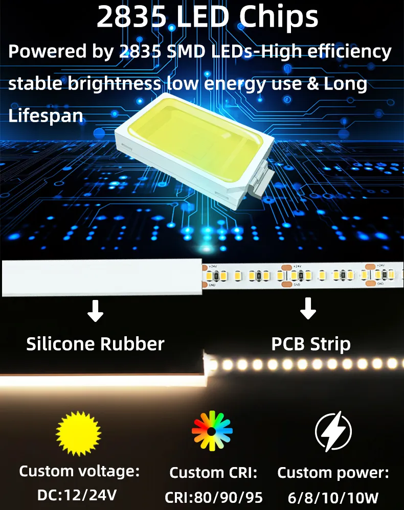 Neon Flex Application 2