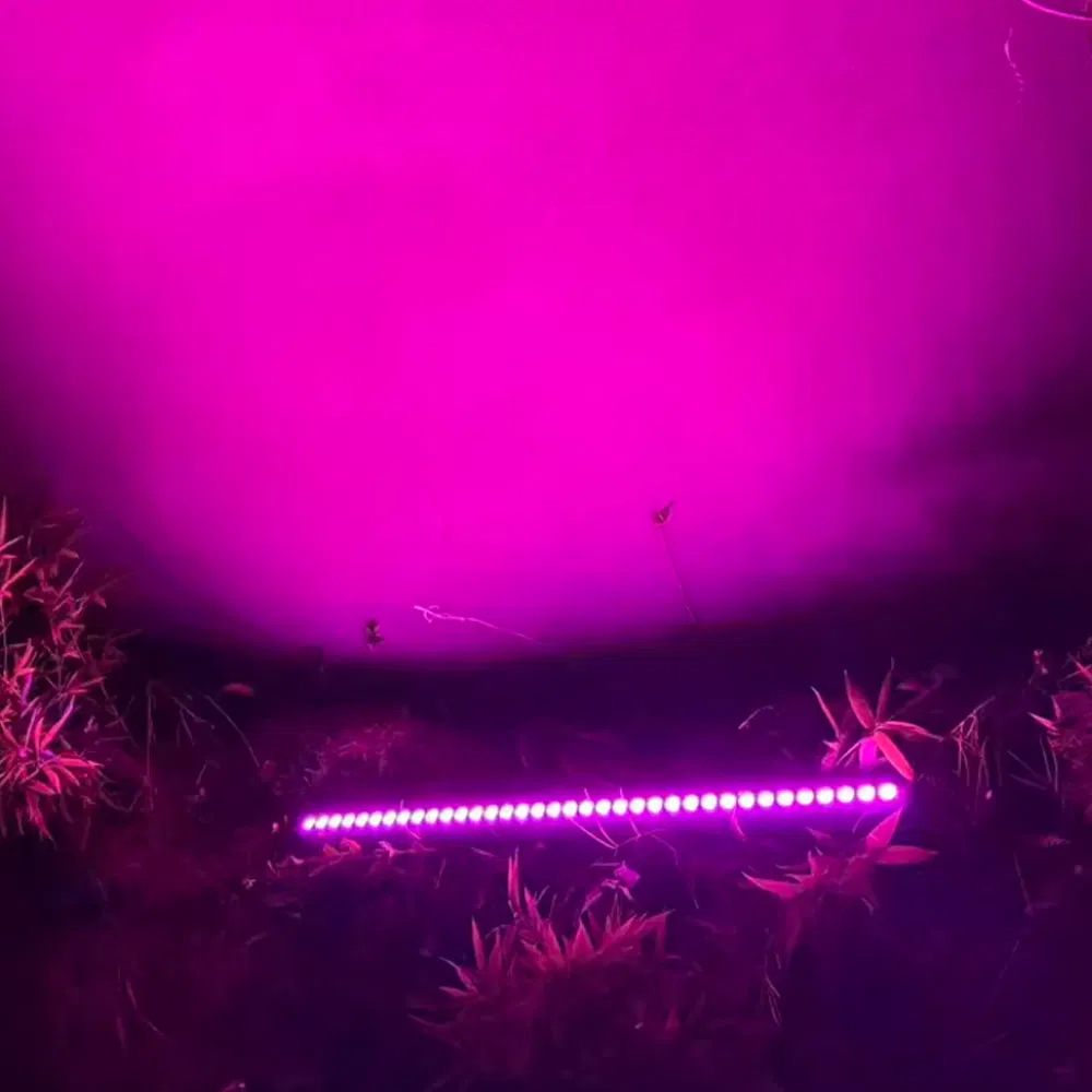 APP Control DMX512 RGBW LED Wall Light Wall Washer LED Light DMX IP Outdoor Beam Light LED Lamp City Light DMX