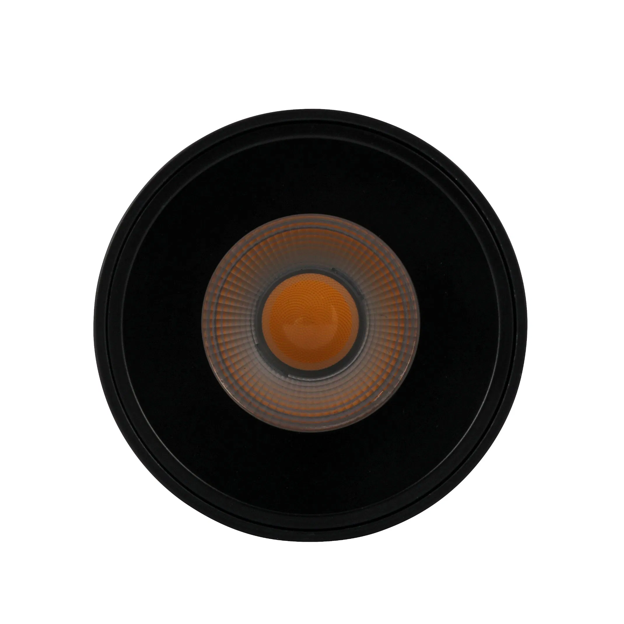 IP44 Aluminum COB Downlight Dimmable LED Indoor Ceiling Living Lamp