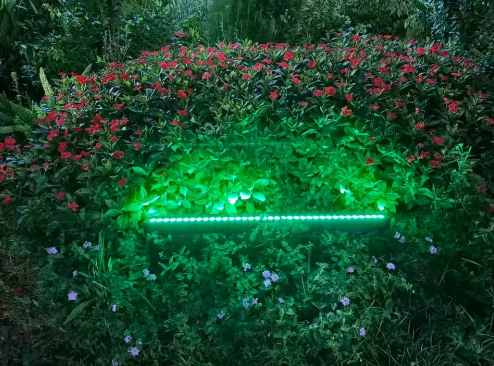 Application Effect 3