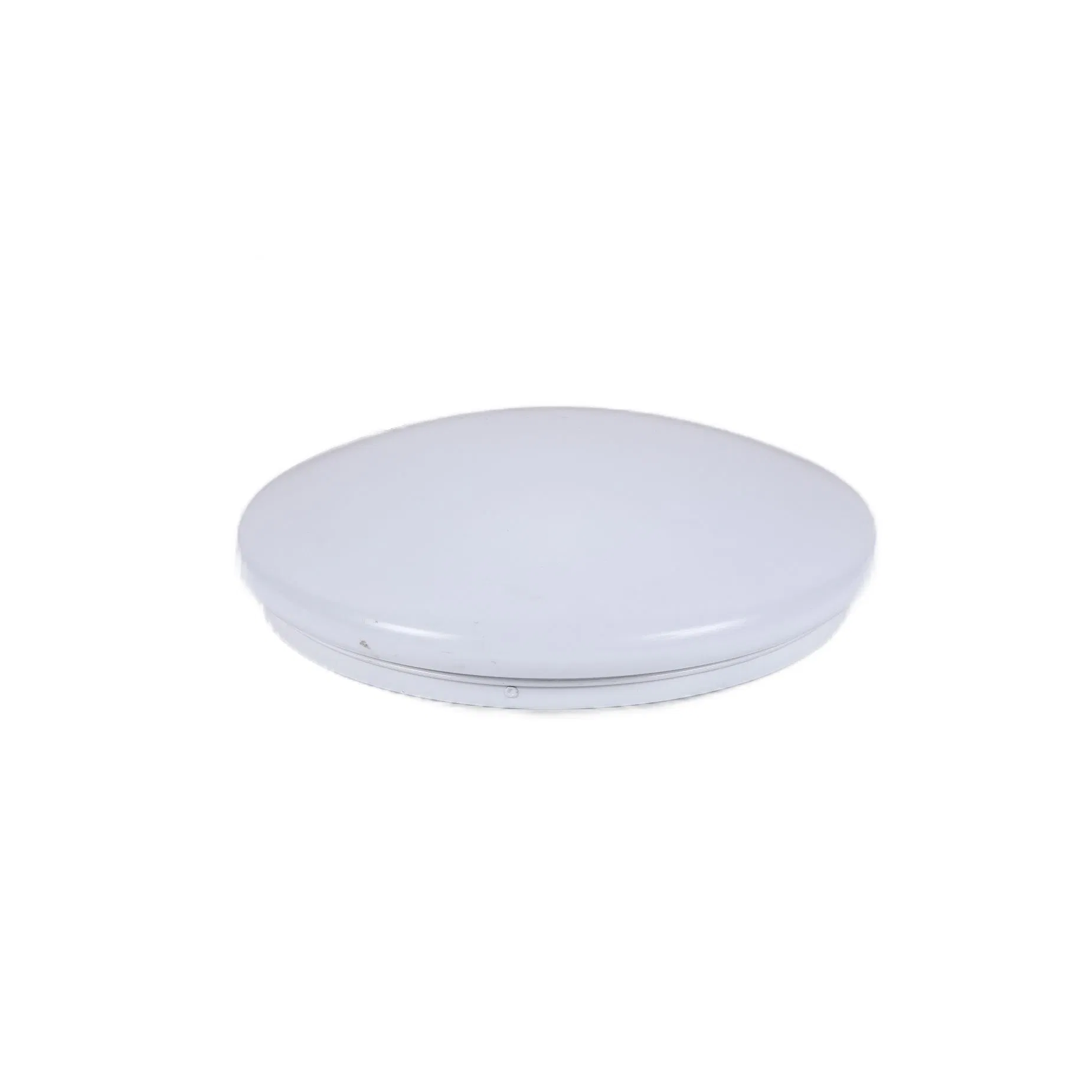 Factory Direct Cheap CE ERP2.0 EMC White Plastic Toilet LED Ceiling Light