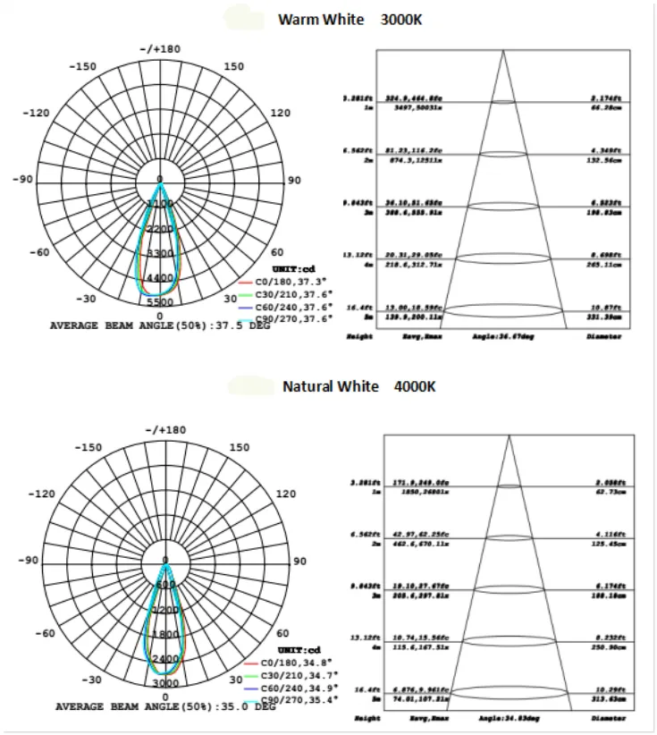 Track Light Dimensions